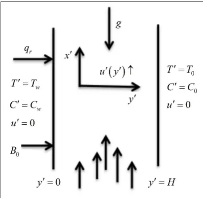 Figure 1. Schematic diagram of the problem. 