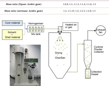Table 1. Emulsion preparations of lipase and savinase microcapsules. 