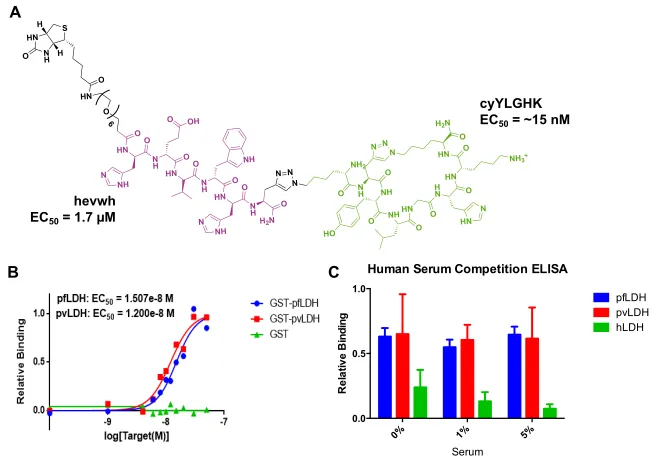 Figure 2-10.  (A)  The structure of the detection biligand PCC against pan-Plasmodium 