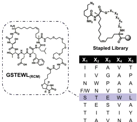 Figure 3-2.   Structure of the best PCC candidate (GSTEWLRCM) for the capture of 