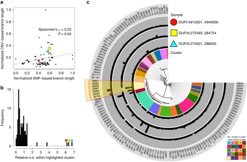 Figure 2 | CNVs are transient within ﬁssion yeast. (on a SNP-based phylogeny (20 kb up- and downstream of the DUP.III:274001..286000 CNV) shows their relative transience within the cluster, as well astheir variation across other near-clonal clusters