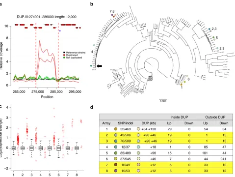 Figure 3 | Transient duplications affect gene expression.(gene expression (strains with duplication/strains without duplication) for all genes outside the duplication (as boxplot) and for all genes within theduplication (red strip chart)