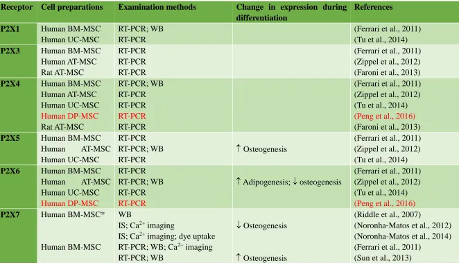 Table 1 Summary of expression of P2X and P2Y receptors in MSC and change in their expression during differentiation 