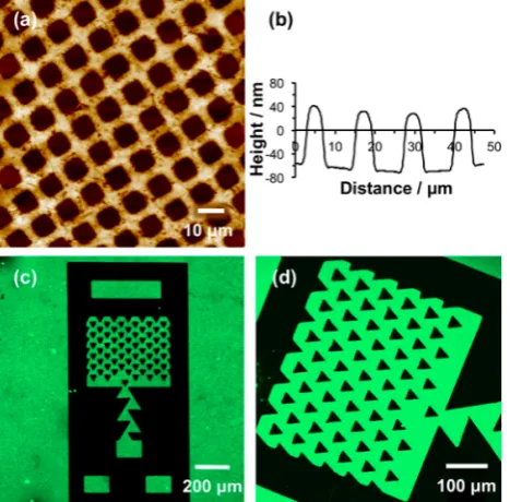 Figure 4. (a) Negative ion SIMS spectrum of an unpatternedPOEGMEMA brush. (b) SIMS image of a POEGMEMA trapstructure formed by mapping the intensity of the C2H3O− species.
