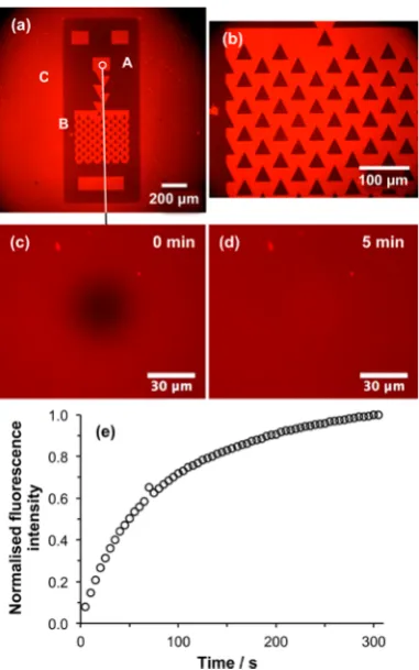 Figure 5. (a,b) Fluorescence micrographs of a trap structure formedhalogen also occurs outside the trap structure, enabling formation ofan SLB there (e.g., at C)