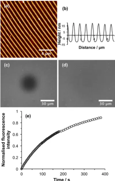 Figure 8. (a) AFM height image of POEGMEMA nanostructuresLine section through the height image in panel a