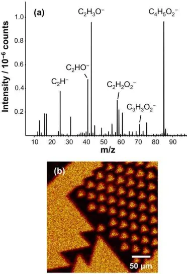 Figure 4. (a) Negative ion SIMS spectrum of an unpatterned POEGMEMA brush. (b) SIMS 