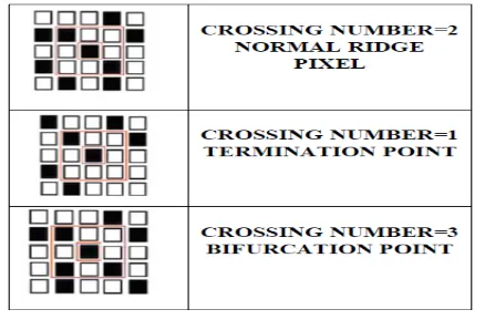 Fig 4: Cross Numbering Technique. 