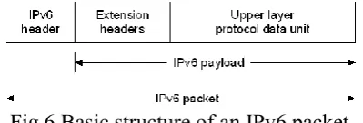 Fig.6 Basic structure of an IPv6 packet 