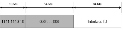 Fig.11 Special IPv6  address 