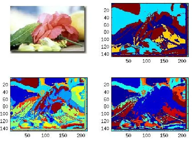 Figure 3. Experimentation Results of Rose image (a) Original Image (b) PSO clustering with 