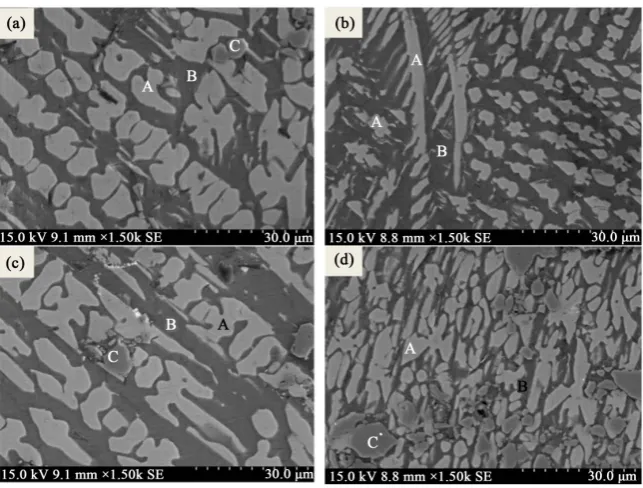Figure 3. Microstructure of substrate.   