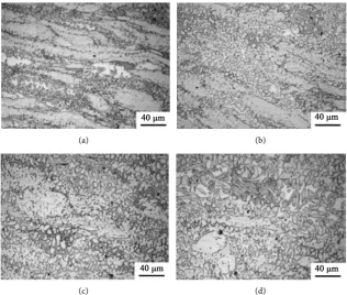 Figure 1. Microstructure of brass: (a) parent material (PM); (b) thermo-mechanical af-fected zone (TMAZ) at 600 rpm; (c) heat affected zone (HAZ) at 600 rpm