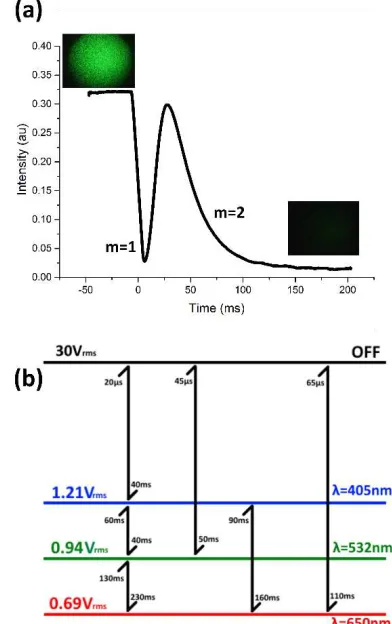 Fig.  3.  (a)  Change  in  intensity  measured  as  a  function  of  time  for 