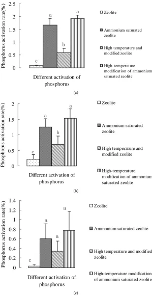 Figure 3. (a) The difference between activation rate of phosphorus in different modification treatment zeolite (PS high); (b) The difference between activation rate of phosphorus in different modification treatment zeolite (PS medium); (c) The difference b