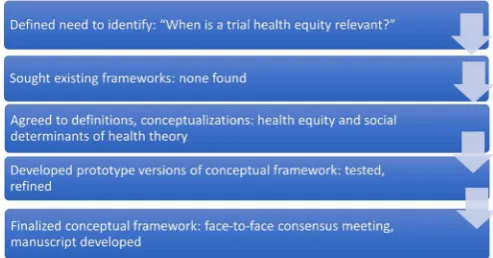 Figure 1 Description of the conceptual framework development process.