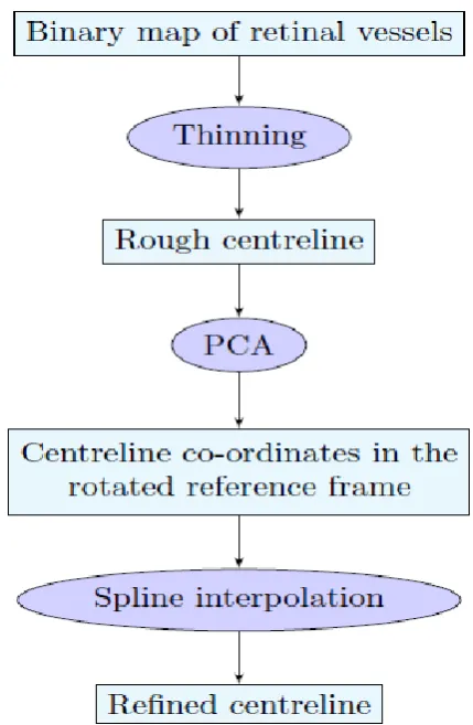 Fig 2: Flowchart representing the main steps of the algorithm for vessel centreline extraction and re_nement 
