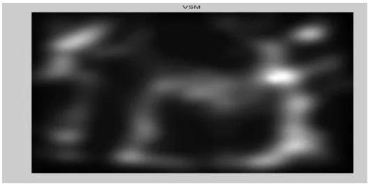 Fig 14  Combined saliency map original and distorted image  . 