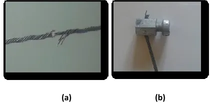 Figure 3. Dimensions of the studied strand 