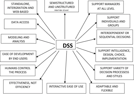 Figure 3.     Diagram of DSS roles  