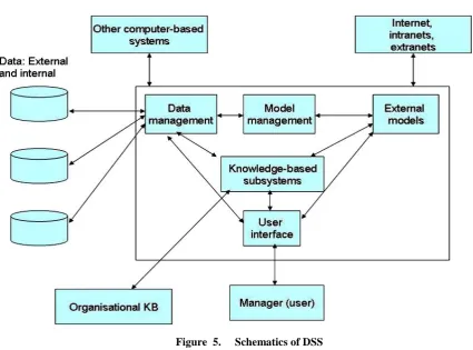 Figure  5.     Schematics of DSS 