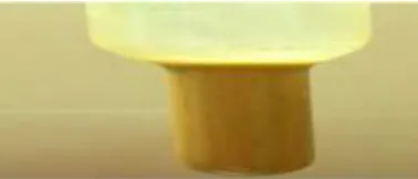 Figure 2:Test for microbial content in the formulation 