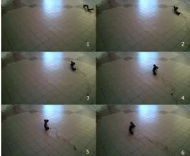 Fig. 23.  Lateral rolling moving behaviour performed by 7-segment snake-like modular robot