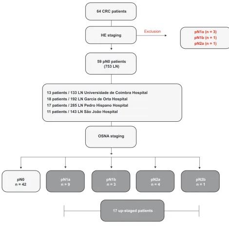 Figure 2 – Study flow-chart