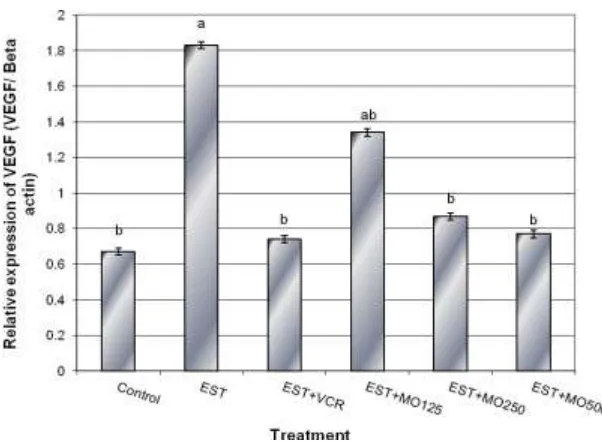 Figure (8). Effect of different doses of Moringa oleifera leaf extract on the expression of VEGF gene in hepatocytes 