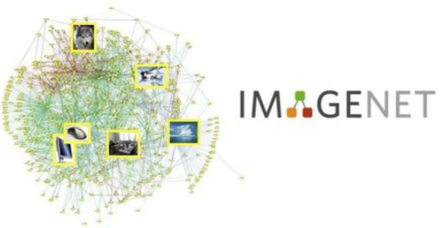 Fig. 1.2 Illustration of the ImageNet that is organised based on Wordnet.