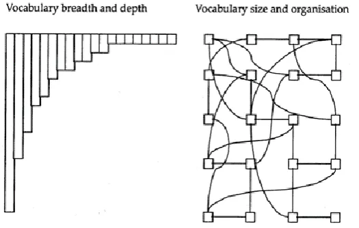 Figure 3. An alternative model to lexical breadth and depth from Meara and Wolter (2004, p.89)   