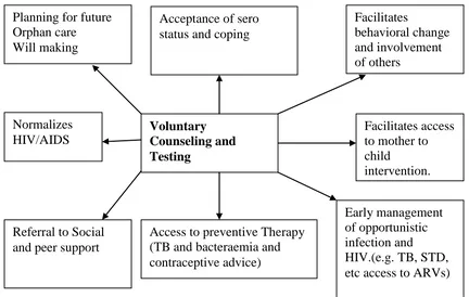 Figure 2.1: VCT Services Strategic Framework as an entry point to HIV 