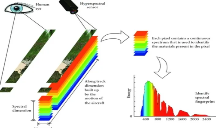 Figure 1: Dimensionality and spectrum in Hyperspectral Image Processing 