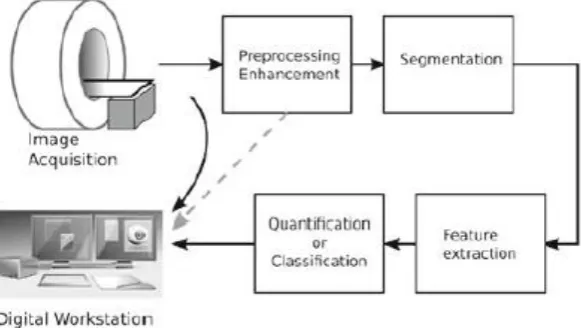 Figure 3.2: Processing steps in modern computer-aided radiology 