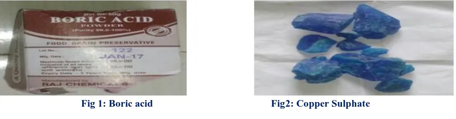Fig 1: Boric acid                                               Fig2: Copper Sulphate 