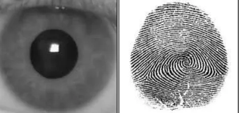 Fig. 1: Sample Iris and Finger print biometric image 