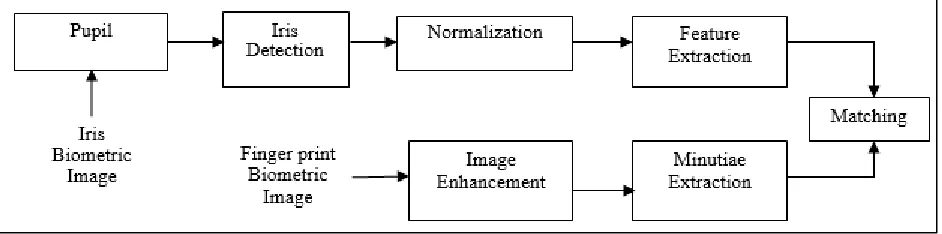 Fig. 2: Steps of proposed operation 