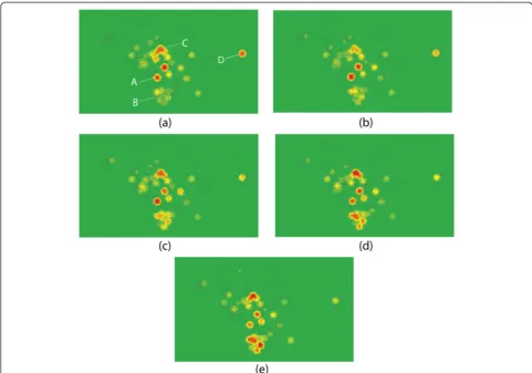 Figure 6 Temporal focusing: density surfaces at different times of a day. (a) morning; (b) noon; (c) early afternoon; (d) late afternoon (e)evening.