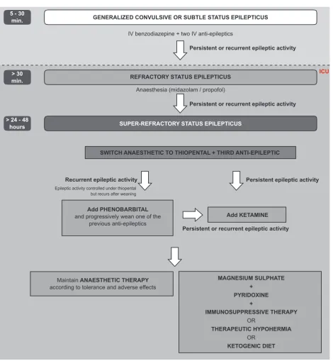 Figure 1 – Flowchart for the treatment of super-refractory status epilepticus (refer to Conclusions for an explanation)