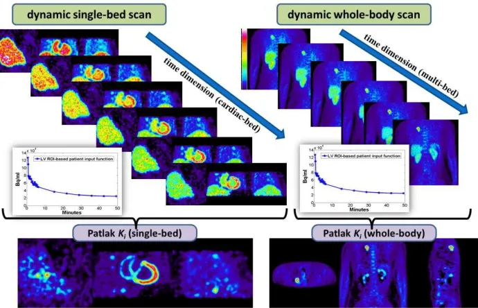 Fig. 2: Illustration of acquisition protocol for simulated single-bed (left) and clinical whole-body (right) dynamic PET imaging and the corresponding sPatlak Ki images