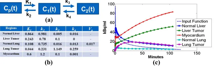 Fig. 3  (a) The standard fully compartmental 18F-FDG-PET tracer kinetic model. It consists of the ����� input function compartment, as well as the tissue compartments for free-tracer ����� and metabolized tracer ����� concentration over post-injection time