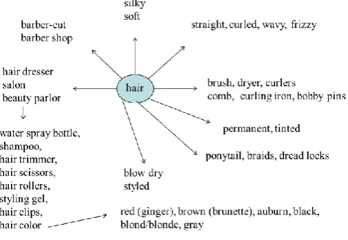 Figure 4. “hair” in network  