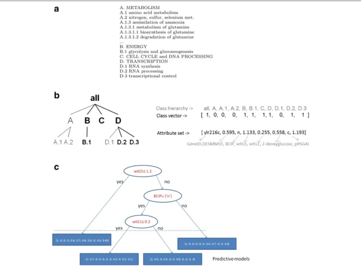 Figure 1 Example of a hierarchy. (a) A part of the FUN hierarchy [7]. (b) An example of input data: The FUN class hierarchy of an example and corresponding class vector and attribute set