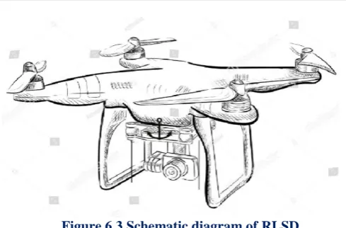 Figure 6.3 Schematic diagram of RLSD  