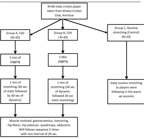 Figure 3.1: Methodological overview: schematic representation of procedure   for combined stretching and routine stretching groups  
