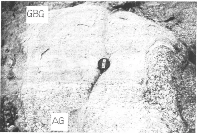 Table I. AJCNK values for a) Gamet-Biotite Gneiss b) Augen Gneiss and c) QuartzofeJdspathic gneiss