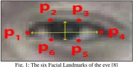 Fig. 1: The six Facial Landmarks of the eye [8] 