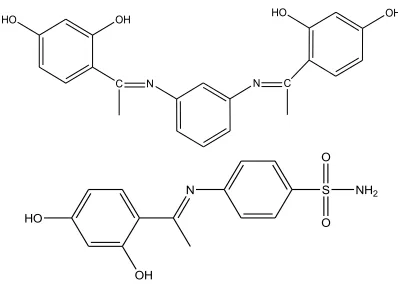 Fig. 2:   Proposed structure of the ligand N-