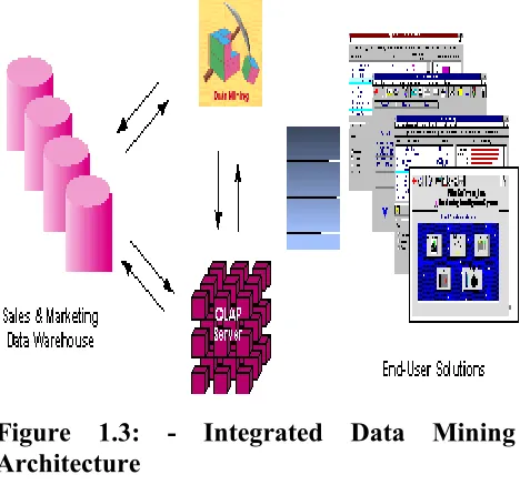 Figure 1.3: - Integrated Data Mining 