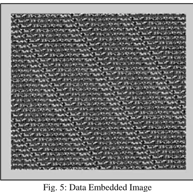Fig. 5: Data Embedded Image 